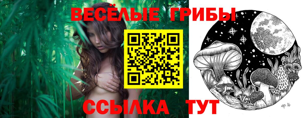 Реутов  Псилоцибиновые грибы GOLDEN TEACHER  Вход с VPN 