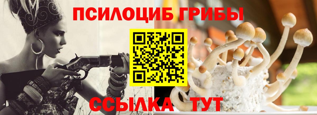 Галлюциногенные грибы Psilocybine cubensis Реутов